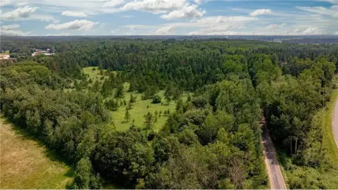 9.3 Acres of Wooded Land