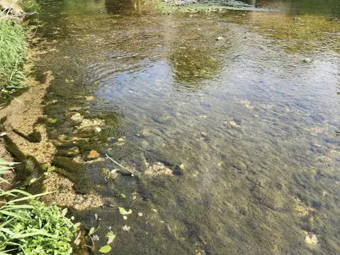 10 Acres with River Frontage