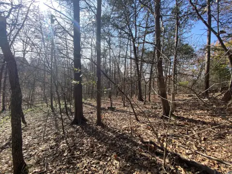 Cape Fair Land with Lakeview