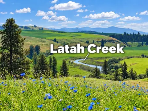 Agricultural Land with Creek