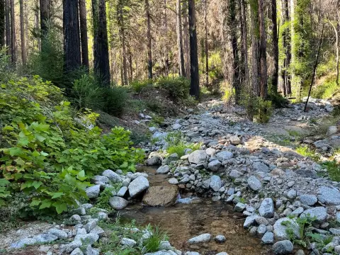 Creek-Adjacent Residential Land Opportunity