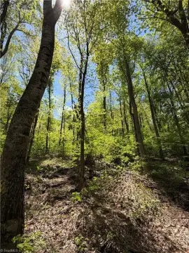 Secluded Land with Flowing Creek