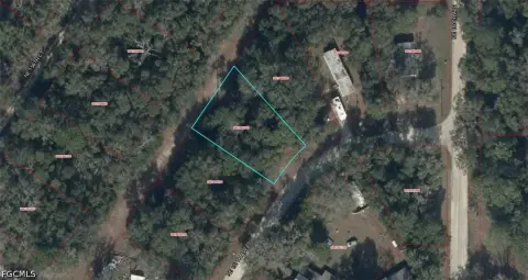 Vacant Lot in Williston, FL