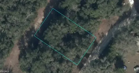 Vacant Lot in Williston, FL