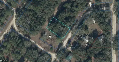 Vacant Lot in Williston, FL