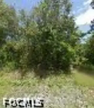 Spacious Clewiston Land Opportunity