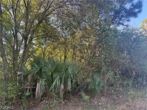 Acre Lot in Clewiston, FL