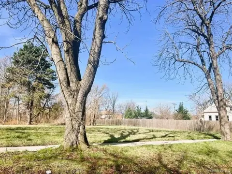 Detroit Vacant Land Opportunity