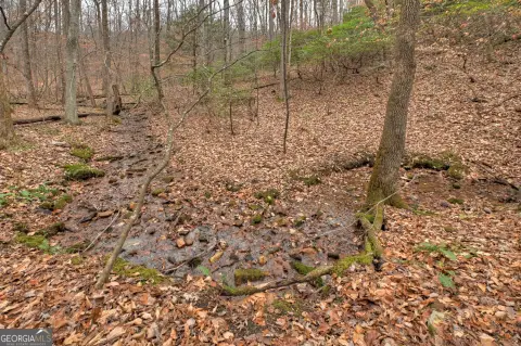 Mountain Land with Creek Frontage