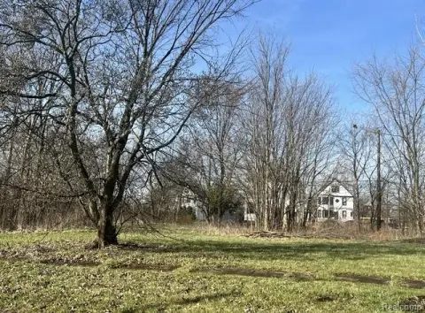 Detroit Land Opportunity: Three Lots
