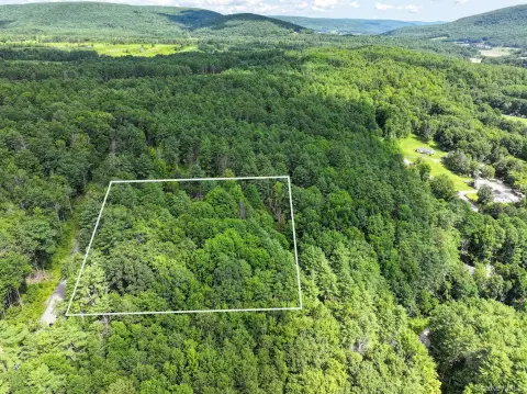 Wooded Land Parcel