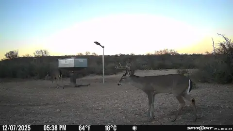 119-Acre Hunting Land with Blinds