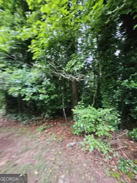 Decatur Land Opportunity