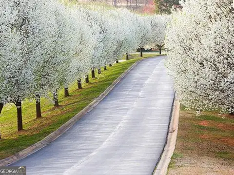 Clarkesville Land in Golf Community