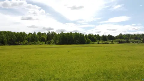Wooded and Tillable Agricultural Land