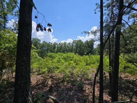 Partially Cleared Home Site Land