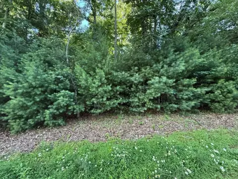 Level Residential Build Lot