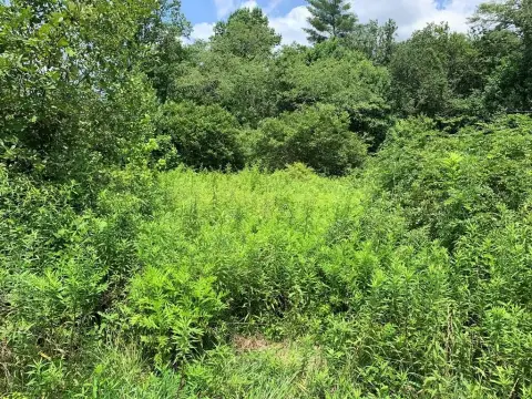 Unrestricted Hunting Land with Cabin
