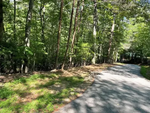 Wooded Residential Lot with Utilities