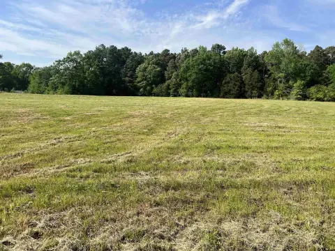 Hughes Springs Acreage with Timber