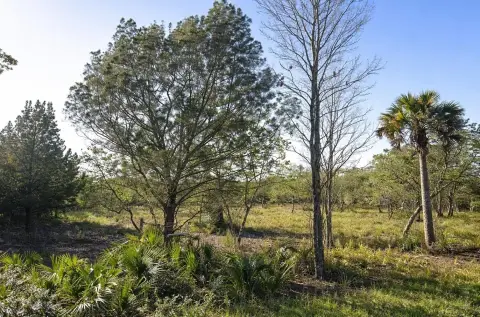Canaveral Groves Land Parcel