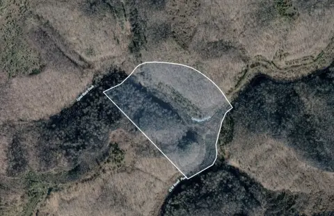 Wooded Mountain Hunting Land