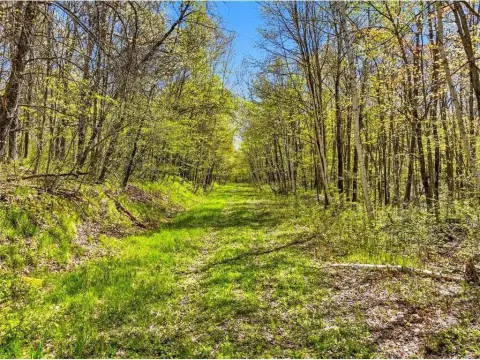 152 Acres Wooded Land Trego