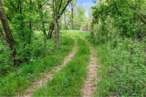 Heavily Wooded Annandale Land Parcel