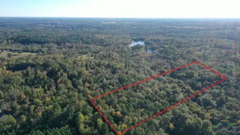 9.19 Acres of East Texas Paradise
