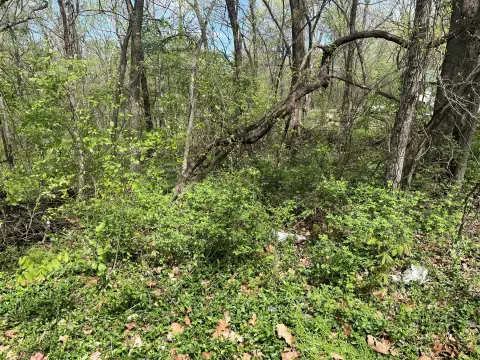 Neosho River Waterfront Lot