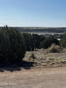 Land Parcel in Concho Valley