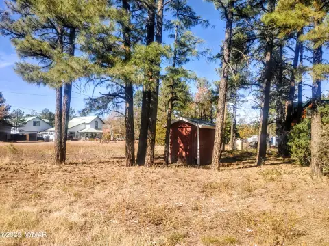 Lakeside, AZ Level Lot