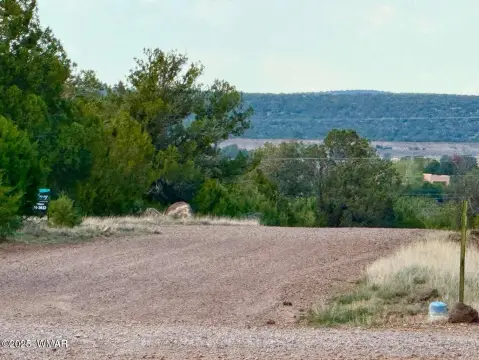 Treed Lot in Show Low