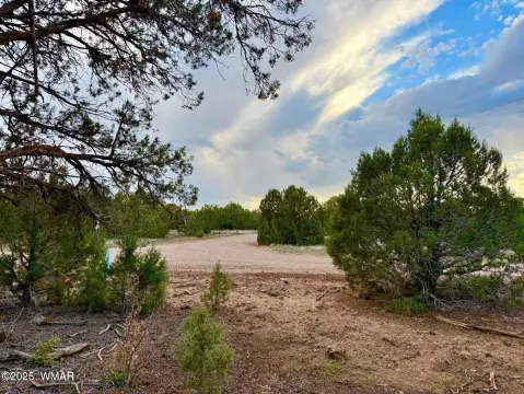 Heavily Treed Lake-Access Buildable Lot
