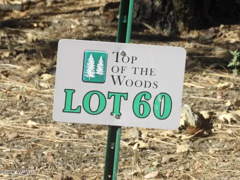 Pinetop Land in White Mountains