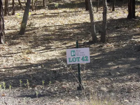 Treed Lot in Pinetop, AZ