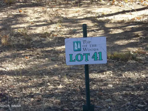 Treed Lot in Lakeside, AZ