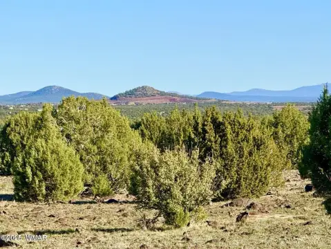 Land Near Show Low, AZ