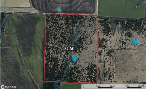82 Acres in Bailey, Texas