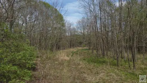 90 Acres in Red River County