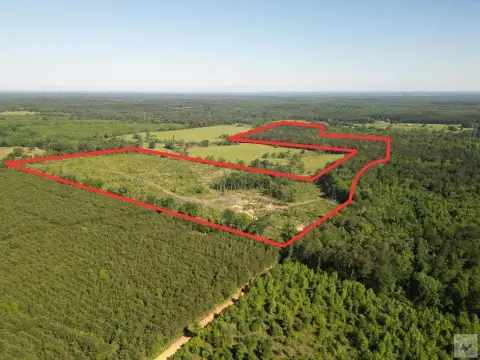 Recreational Hunting Land Tract