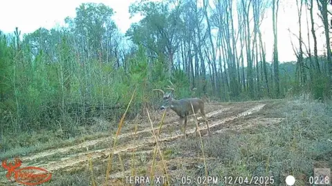 DeKalb, TX Land Opportunity