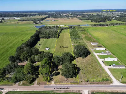 Unzoned Land with Mature Trees