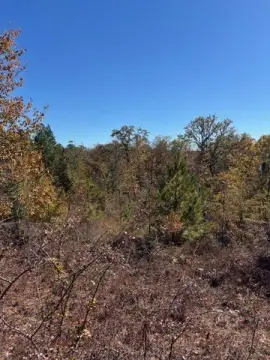 Wagener SC Land For Sale