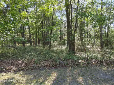 Commercial Marshfront Lot on Highway