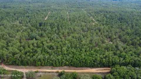 15 Acres in Hawthorne, FL