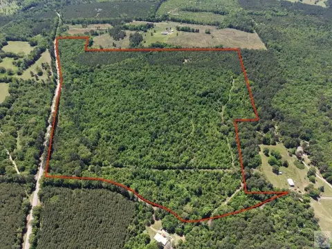 97 Acres in Cass County
