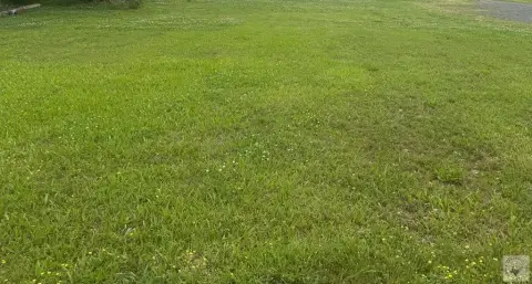 Cleared Lot Near Hooks, TX