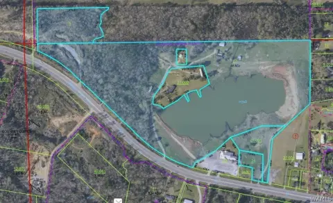 53.9 Acres with Lake