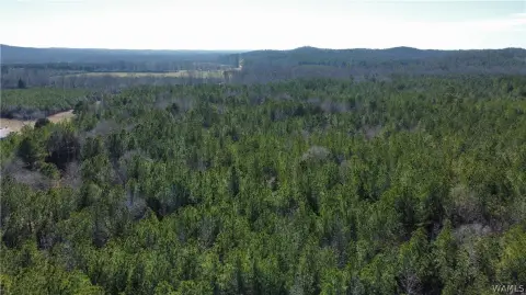 Fayette, AL Land For Sale